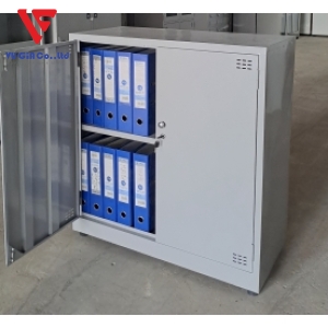 Low iron cabinet with 2 doors, TS88CMS profile