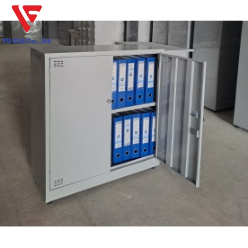 Low iron cabinet with 2 doors, TS88CMS profile
