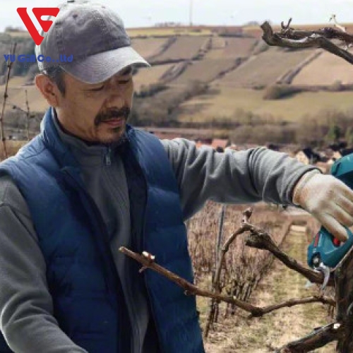 MÁY TỈA CÂY PRO PRUNER PROFESSIONAL